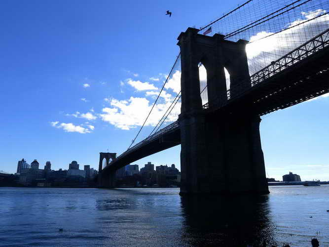 NYC_2017-11-26 11-38-09_P1140390